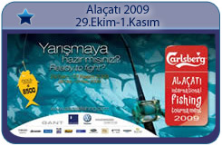 2009 Tournament