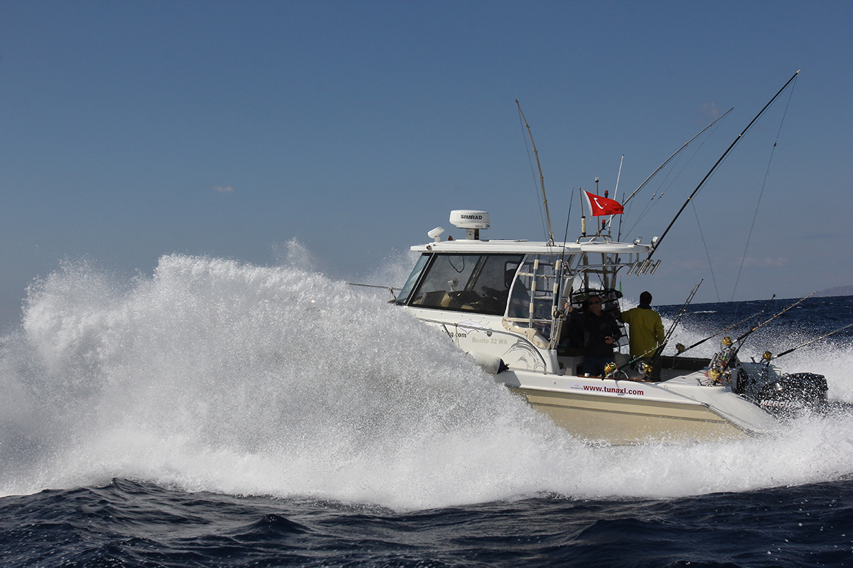 Alacati Fishing Tournament qualche onda.jpg