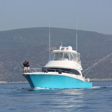 Blufin (6).JPG
