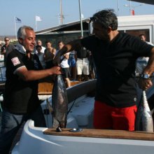 IMG_1160.jpg