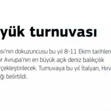 Naviga.jpg