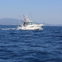 Pescatore (1).JPG