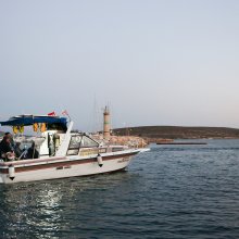 OZG_0902-2.jpg