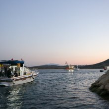 OZG_0904-2.jpg
