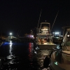 Alaçatı Fishing 2011 2.Gün