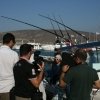 IMG_1155.jpg