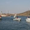 Alaçatı Fishing 2011 1.Gün