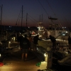 Alaçatı Fishing 2011 1.Gün