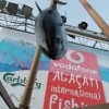 Alaçatı Fishing 2010 2. Gün