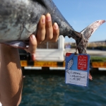 OZG_3891-okk.jpg