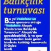 03112010143709_1056361402_20101103_Hurriyet20Kelebek.jpg